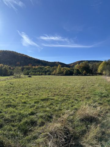 Działka budowlana Szczawina. Zdjęcie 1