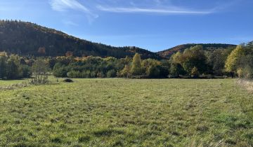 Działka budowlana Szczawina