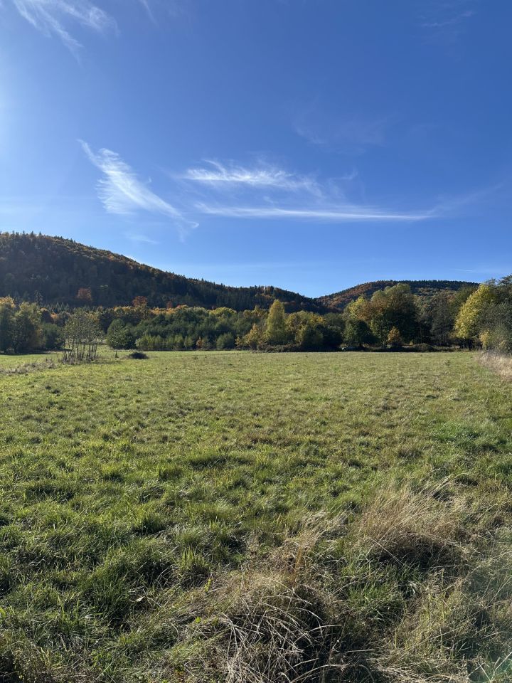 Działka budowlana Szczawina