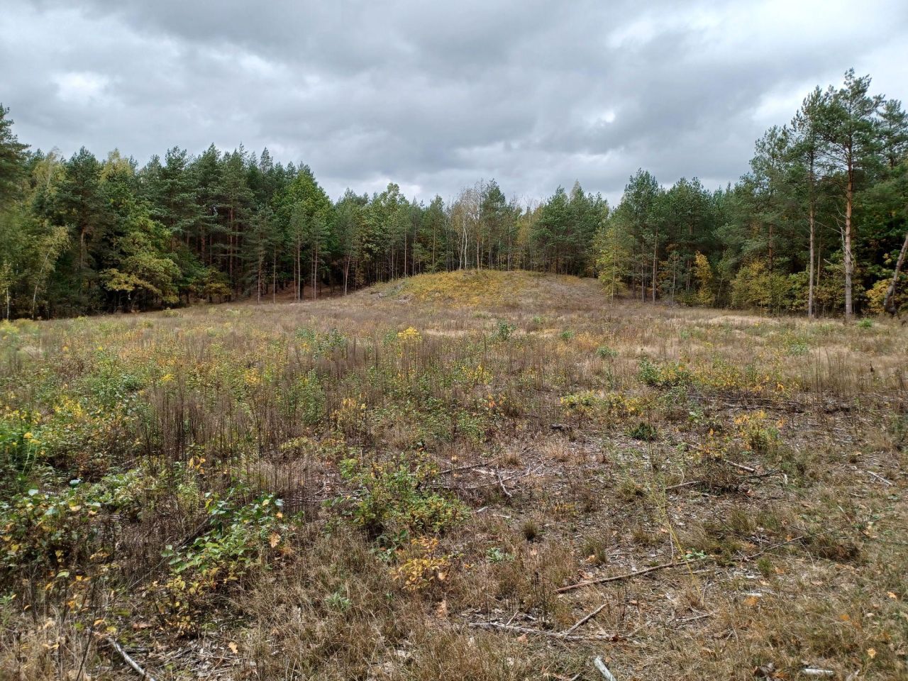 Działka rolno-budowlana Sochonie, ul. Brzozowa. Zdjęcie 4