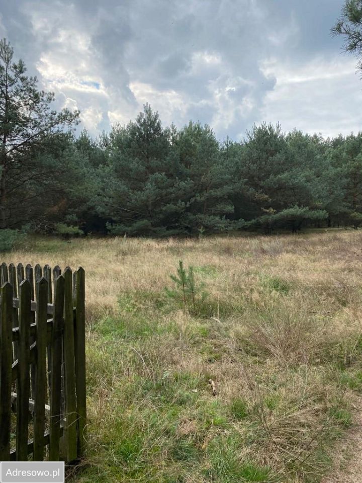 Działka rekreacyjna Kwiejce. Zdjęcie 4