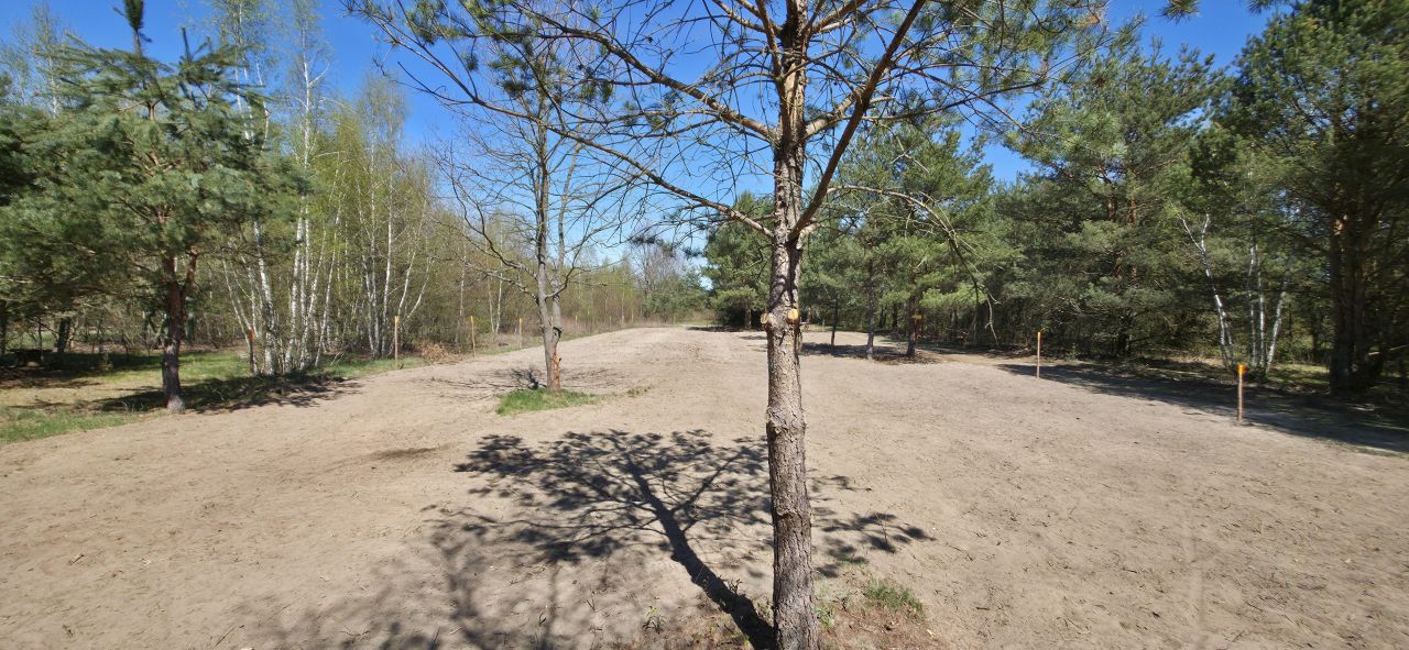 Działka budowlana Izabelin-Dziekanówek, ul. Kwiatowa. Zdjęcie 3