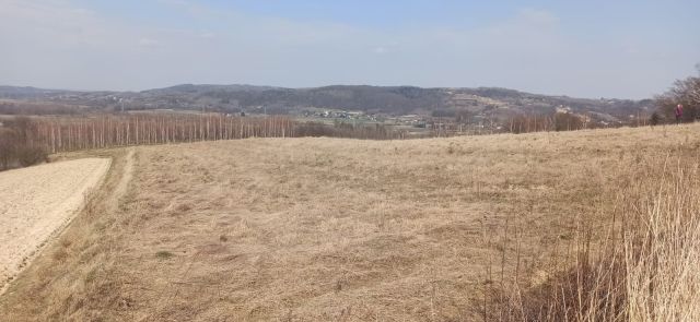Działka budowlana Skurowa. Zdjęcie 1