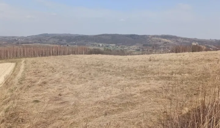 Działka budowlana Skurowa