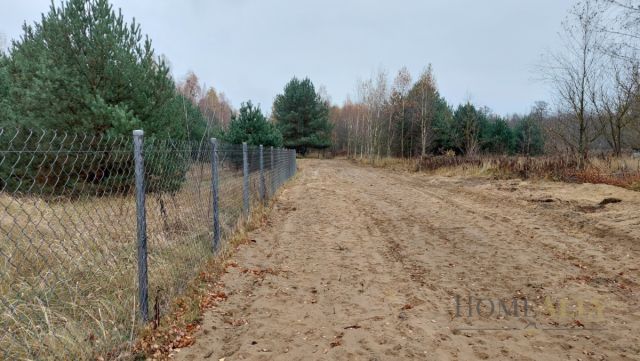 Działka rolna Teofile. Zdjęcie 5