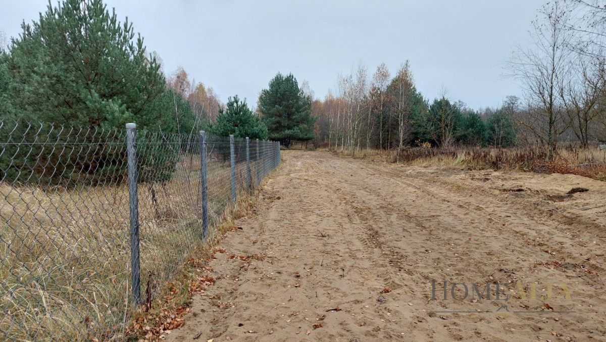 Działka rolna Teofile. Zdjęcie 5