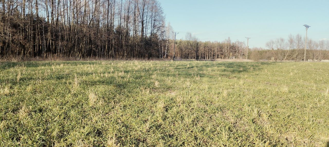 Działka rolno-budowlana Sieniawa. Zdjęcie 2