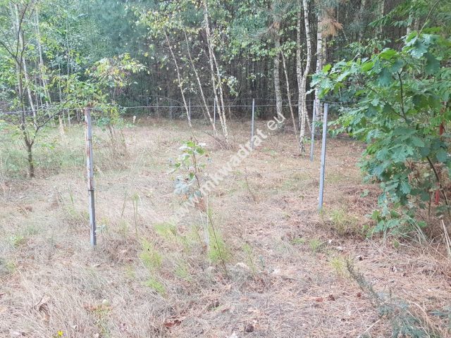 Działka budowlana Nowe Budy. Zdjęcie 7