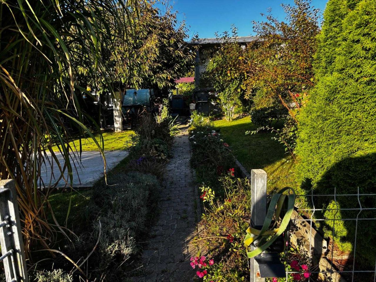 Działka rod Jastrzębie-Zdrój, ul. Olszowa. Zdjęcie 6