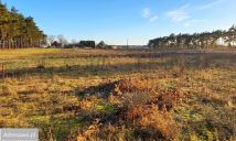 Działka rolno-budowlana Murzynowo Leśne. Zdjęcie 3