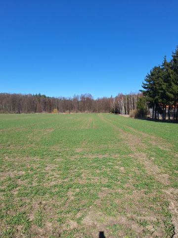 Działka budowlana Czajcze. Zdjęcie 1