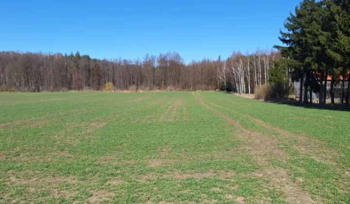 Działka budowlana Czajcze