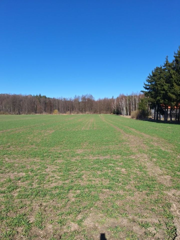 Działka budowlana Czajcze. Zdjęcie 1