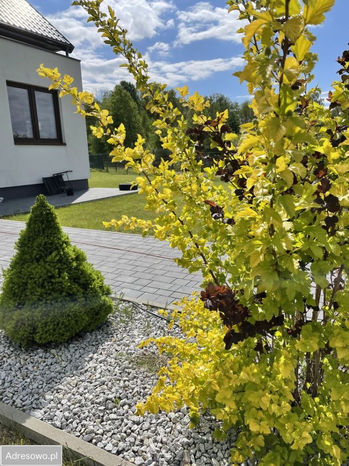 dom wolnostojący, 6 pokoi Gabryelin. Zdjęcie 5