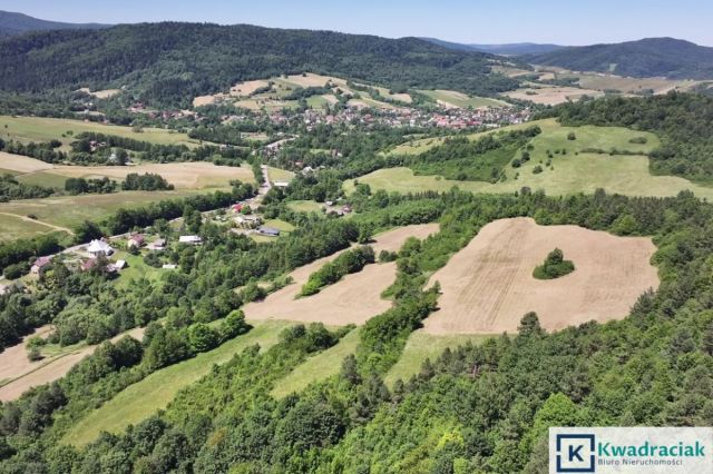 Działka rolna Stężnica. Zdjęcie 3