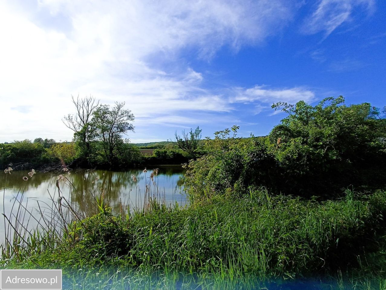 Działka budowlana Karniowice, ul. Modrzewiowa. Zdjęcie 6