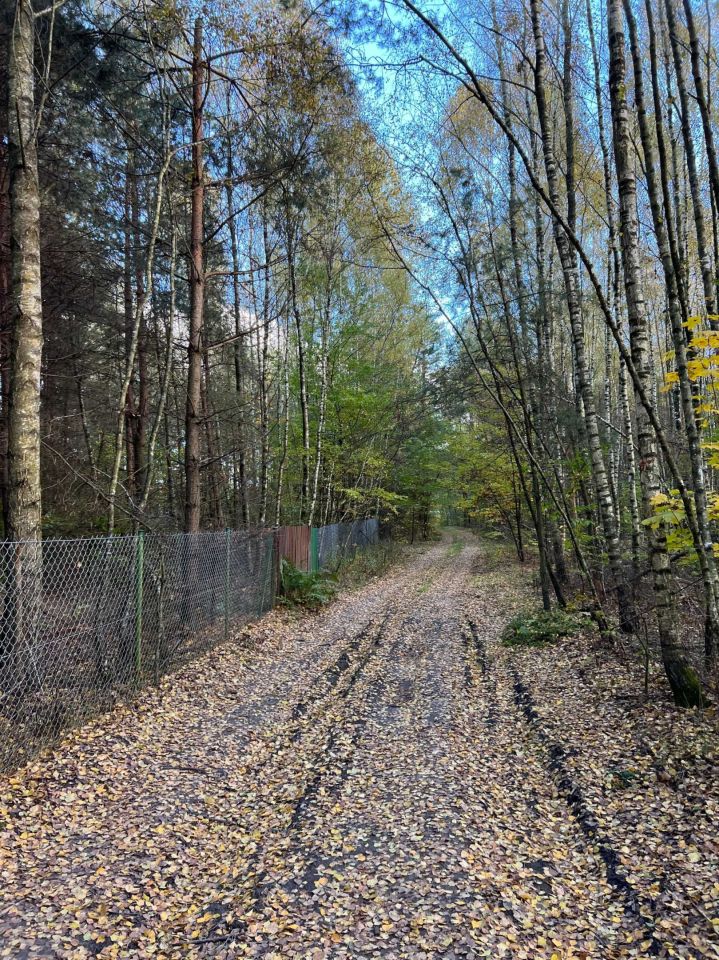 Działka rekreacyjna Rogóźno. Zdjęcie 6