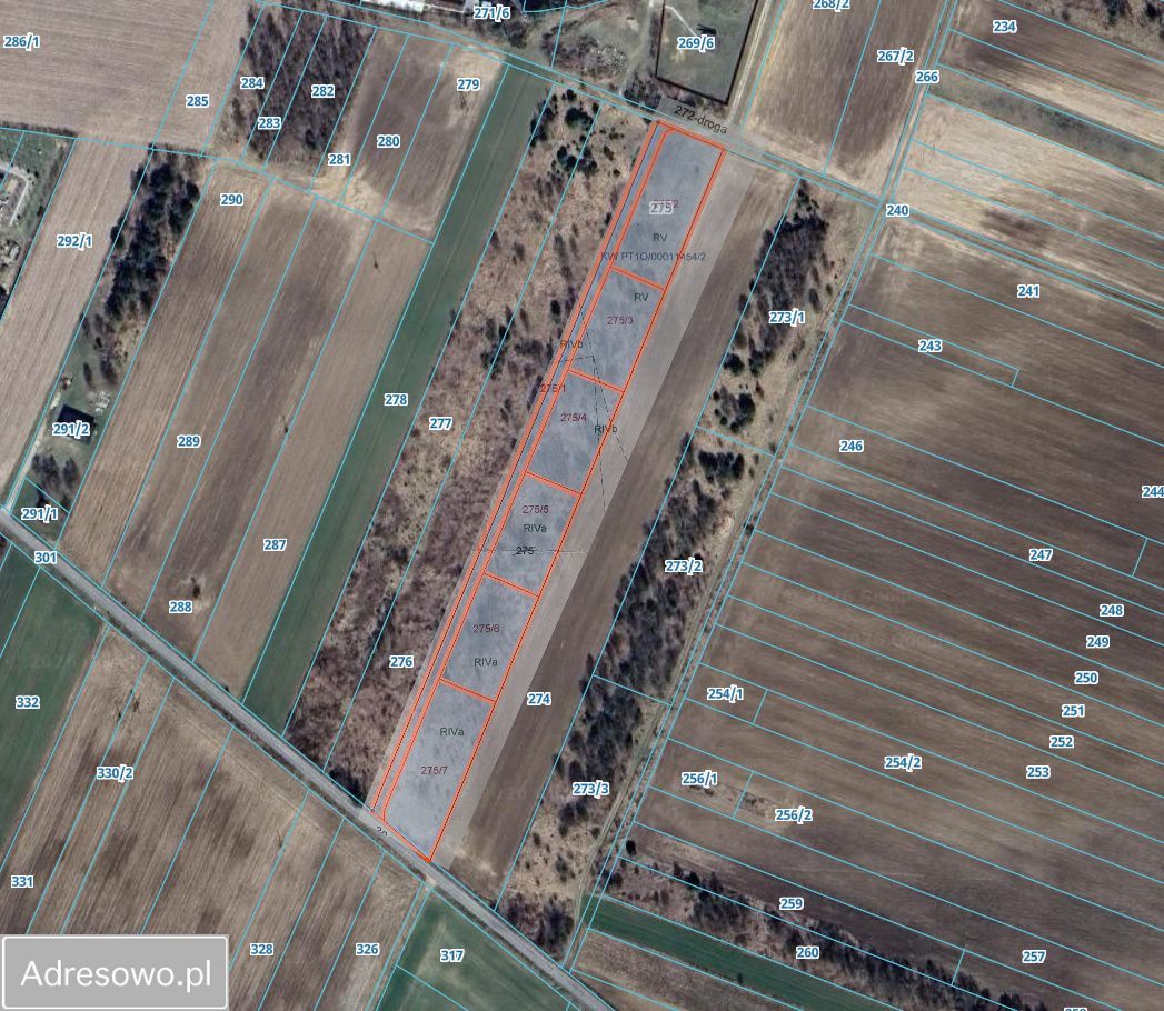 Działka budowlana Białaczów. Zdjęcie 2