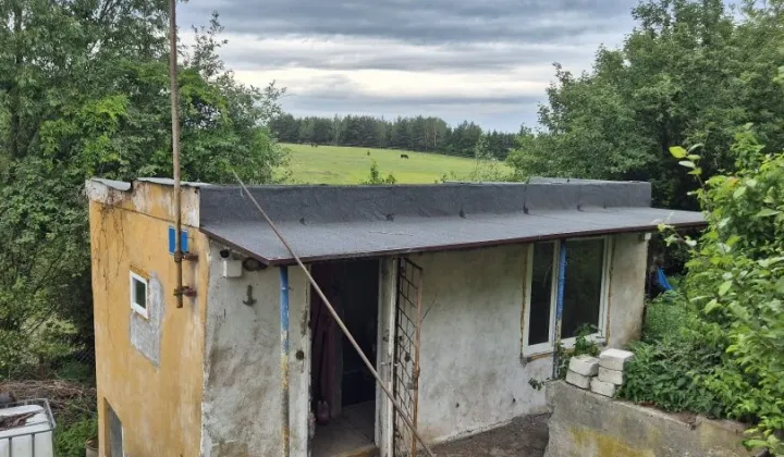 Działka rod Rożno-Parcele
