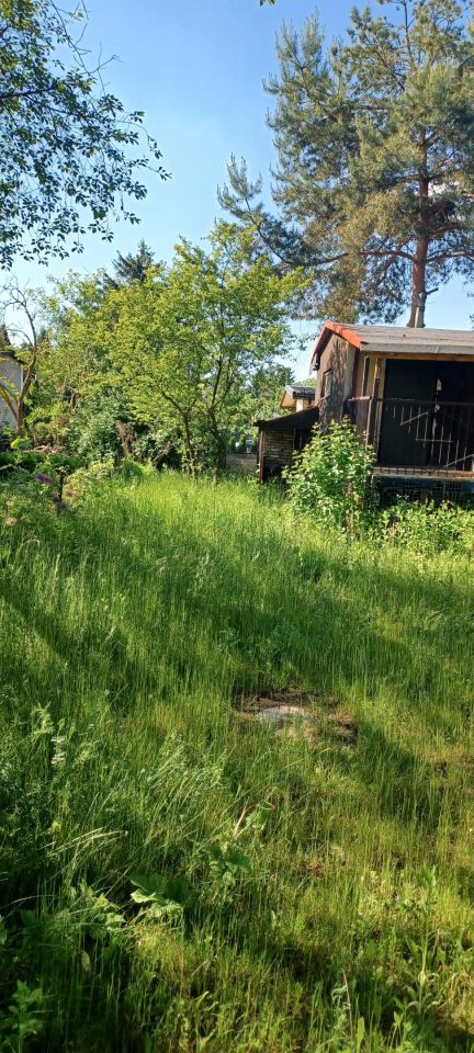 Działka rod Warszawa Targówek, ul. Lewinowska. Zdjęcie 3