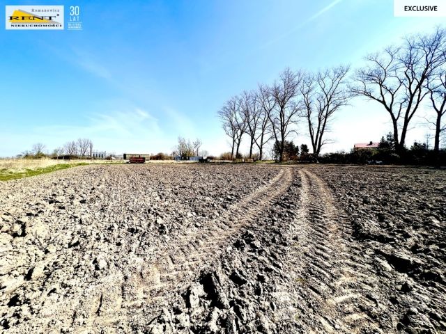 Działka budowlana Trzebusz. Zdjęcie 4