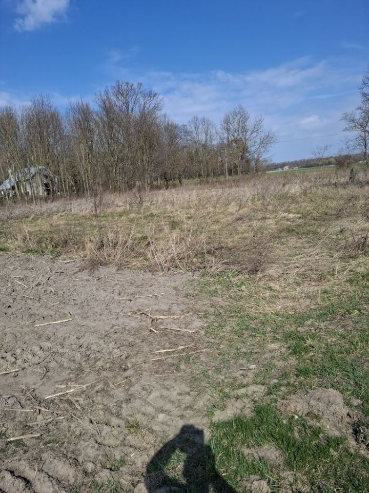 Działka rolna Gzy Kałęczyn. Zdjęcie 2