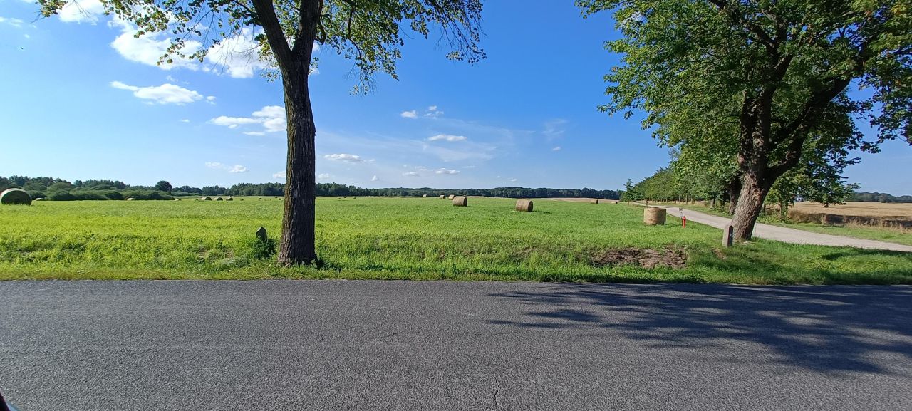 Działka rolno-budowlana Wielowieś. Zdjęcie 5