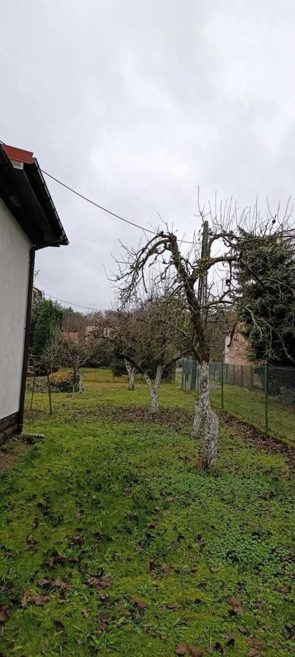 dom wolnostojący Rzepin, ul. Adama Mickiewicza. Zdjęcie 7