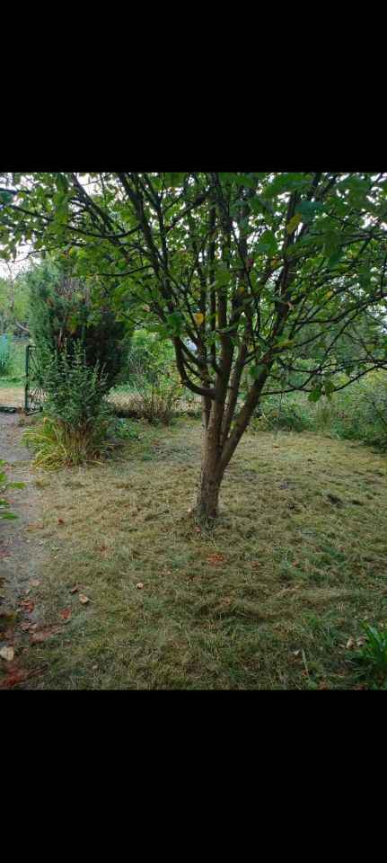 Działka rod Kraków Mistrzejowice, ul. Łęgowa. Zdjęcie 5