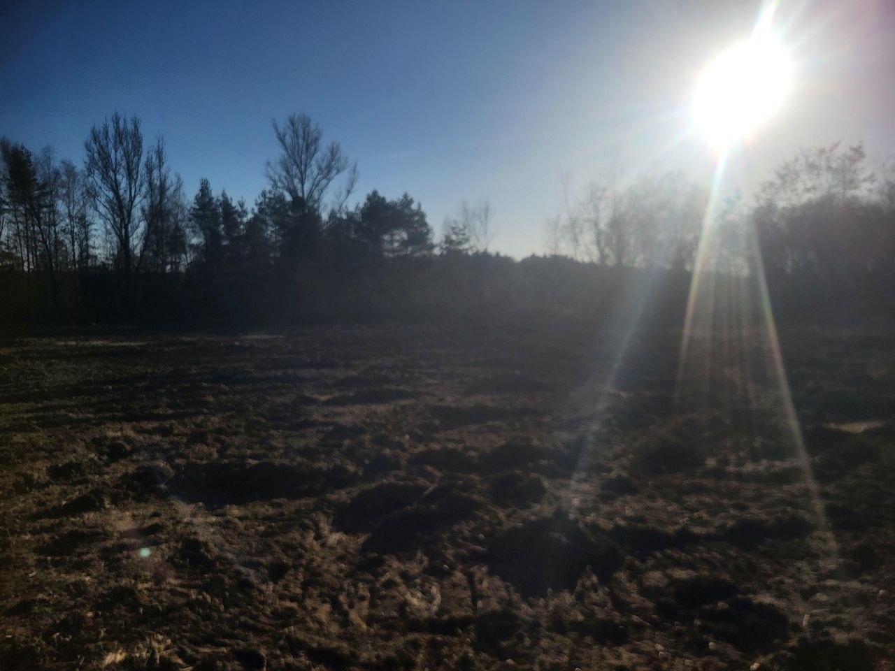 Działka budowlana Dąbrowa Górnicza Sikorka, ul. Gilowa. Zdjęcie 7