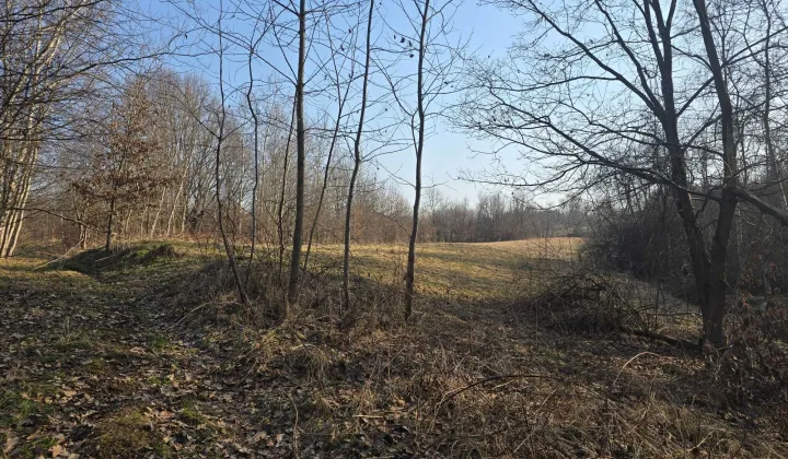 Działka budowlana Wieprz