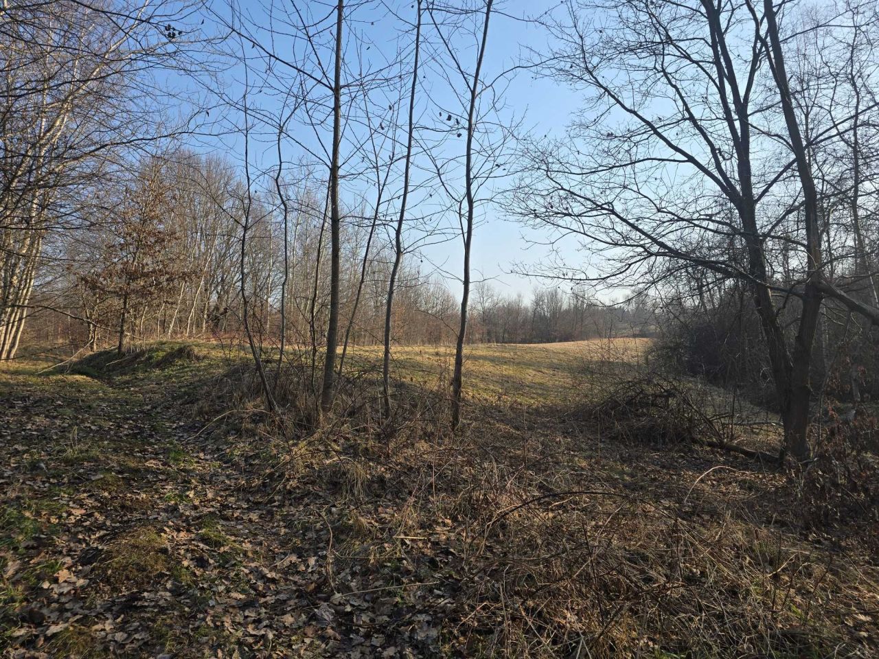 Działka budowlana Wieprz. Zdjęcie 1