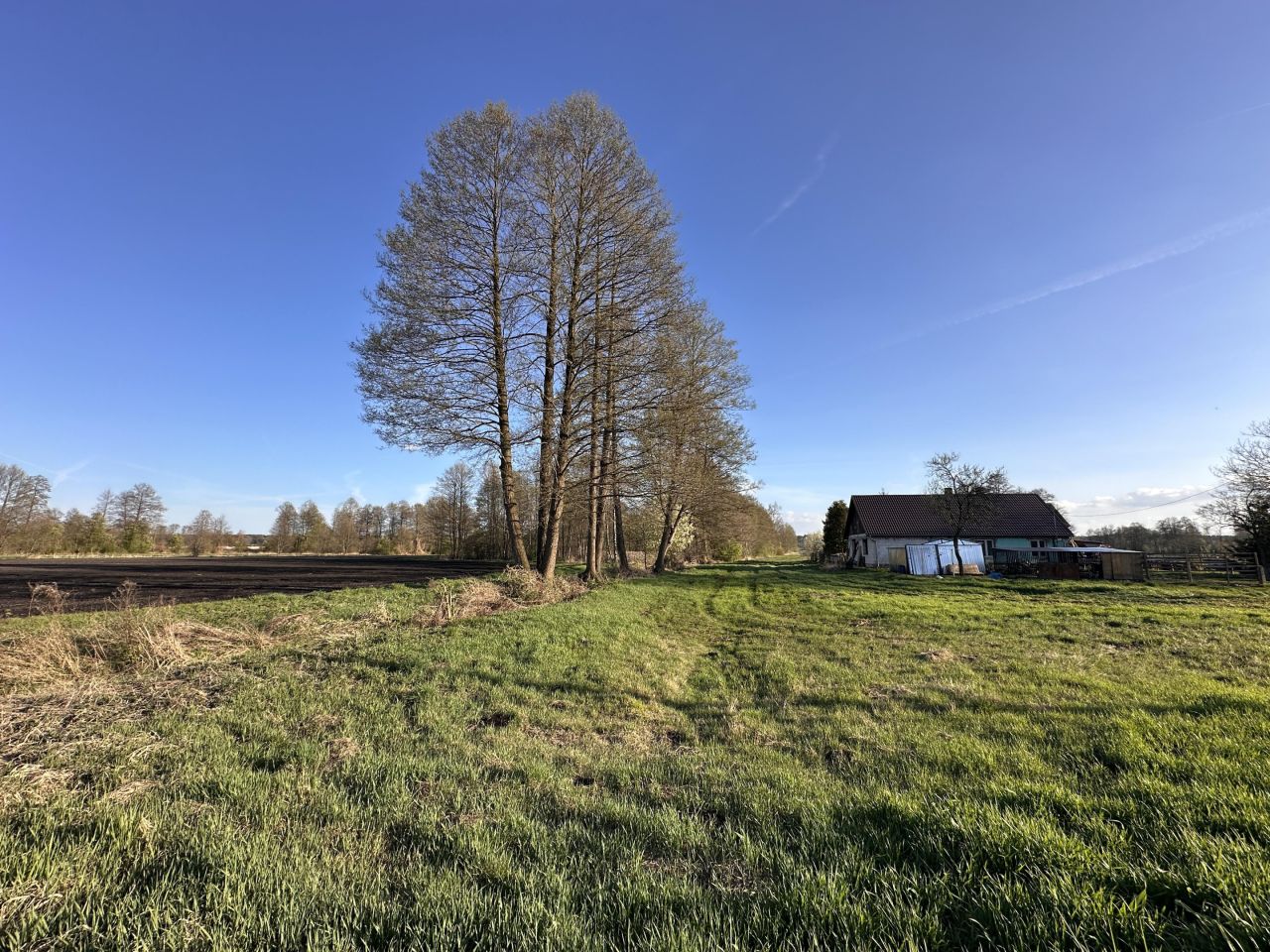 Działka budowlana Baranowice. Zdjęcie 2