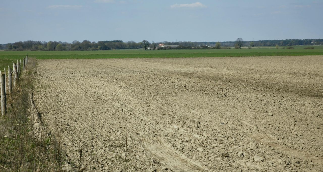 Działka budowlana Jerzykowo, ul. Wronczyńska. Zdjęcie 8