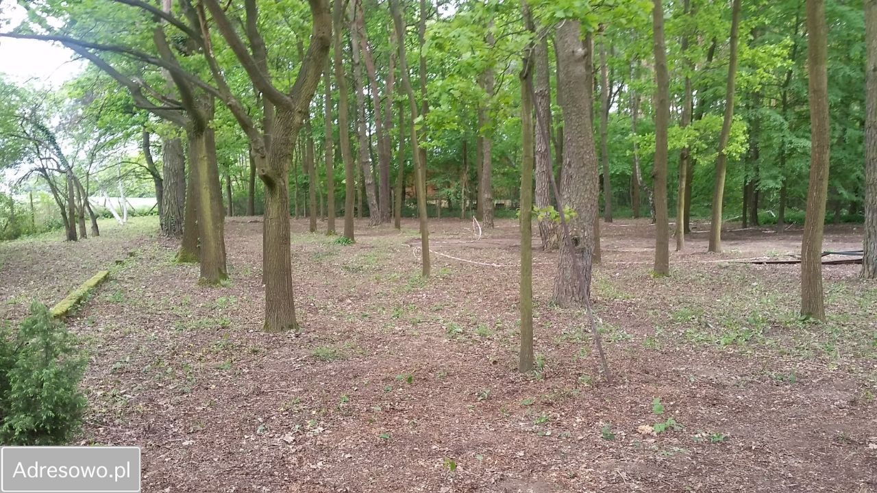 Działka budowlana Magdalenka, ul. Konieczna. Zdjęcie 1