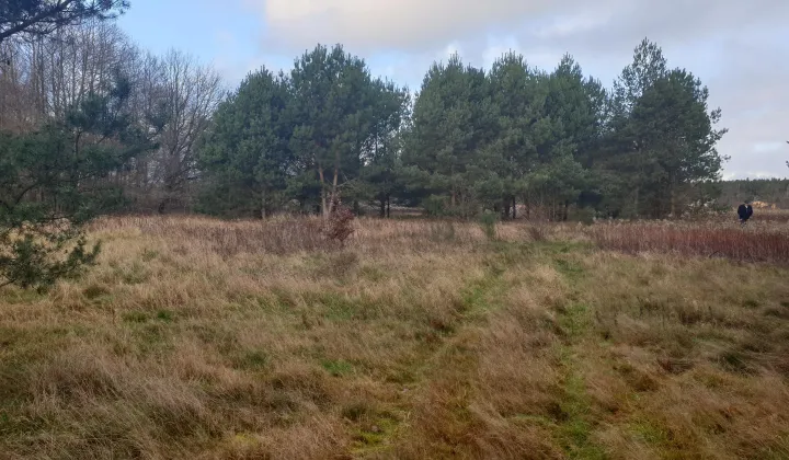 Działka rolna Smołdzino