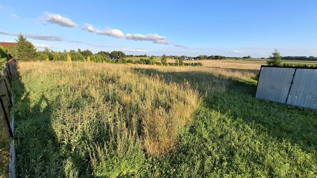 Działka budowlana Świedziebnia. Zdjęcie 1