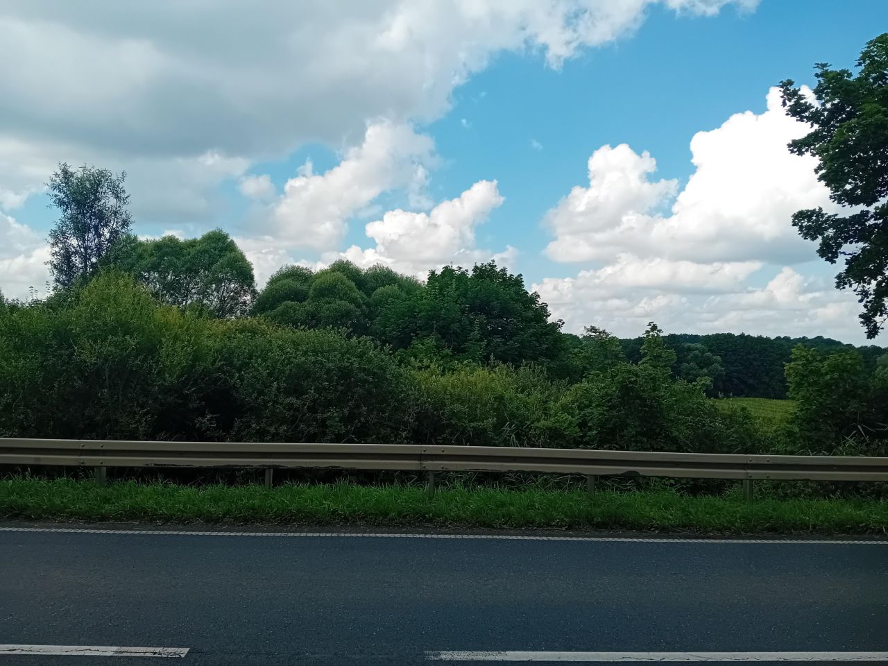 Działka rolna Strzygi. Zdjęcie 12