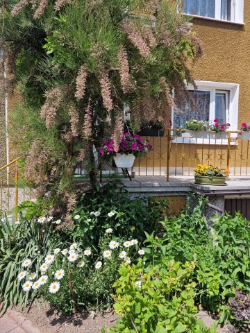 bliźniak, 5 pokoi Lublin Dziesiąta, ul. Henryka Sienkiewicza. Zdjęcie 6