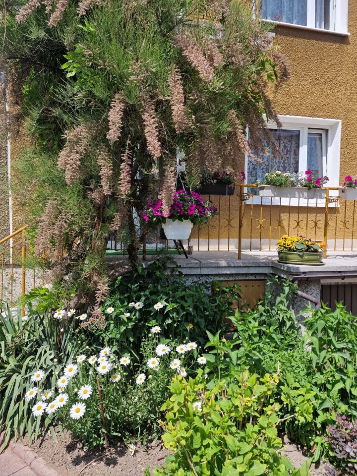 bliźniak, 5 pokoi Lublin Dziesiąta, ul. Henryka Sienkiewicza. Zdjęcie 6