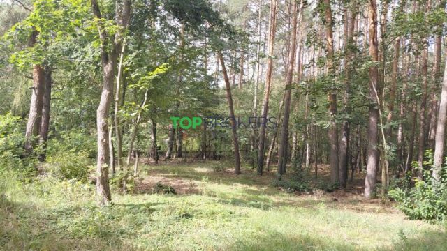 Działka budowlana Józefów. Zdjęcie 3