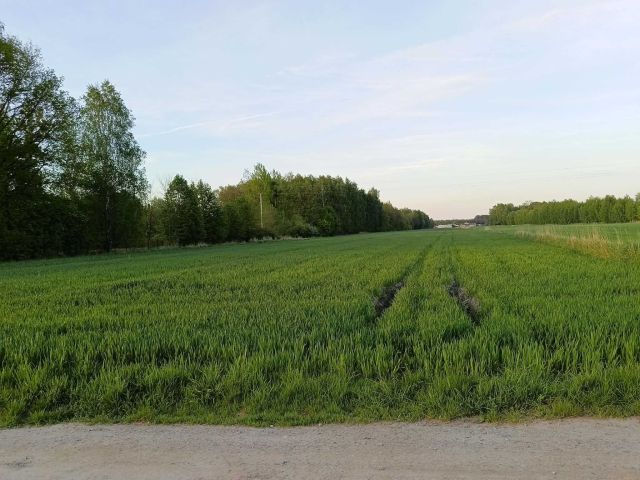 Działka budowlana Wygoda. Zdjęcie 1