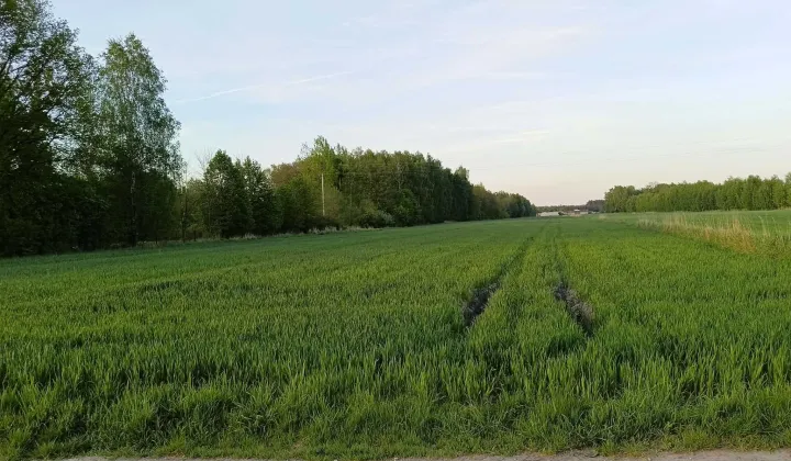 Działka budowlana Wygoda