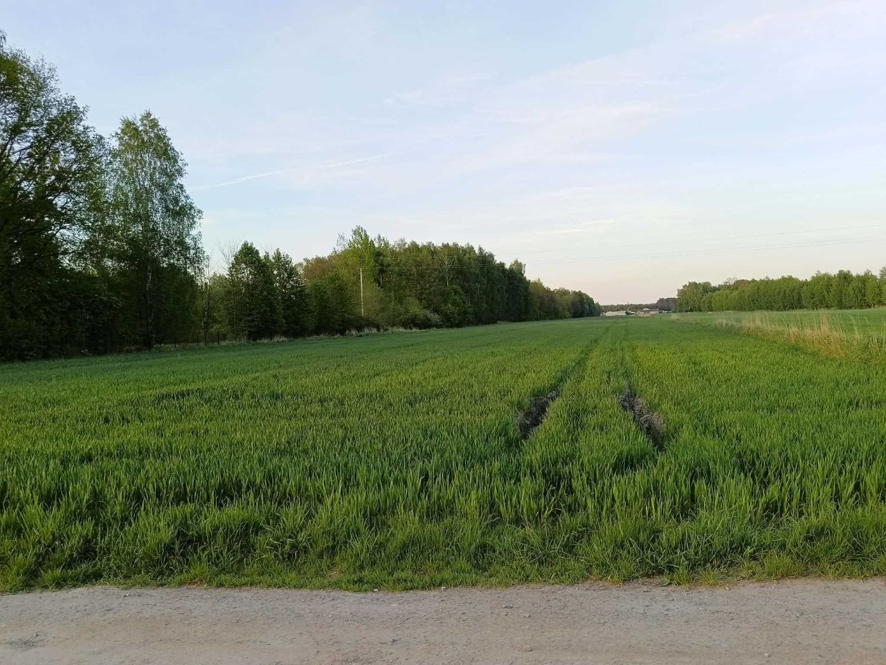 Działka budowlana Wygoda. Zdjęcie 1