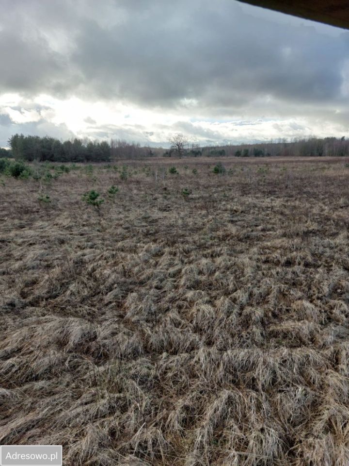 Działka rolno-budowlana Żółwia Błoć. Zdjęcie 9