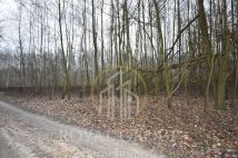 Działka leśna Jawidz. Zdjęcie 4