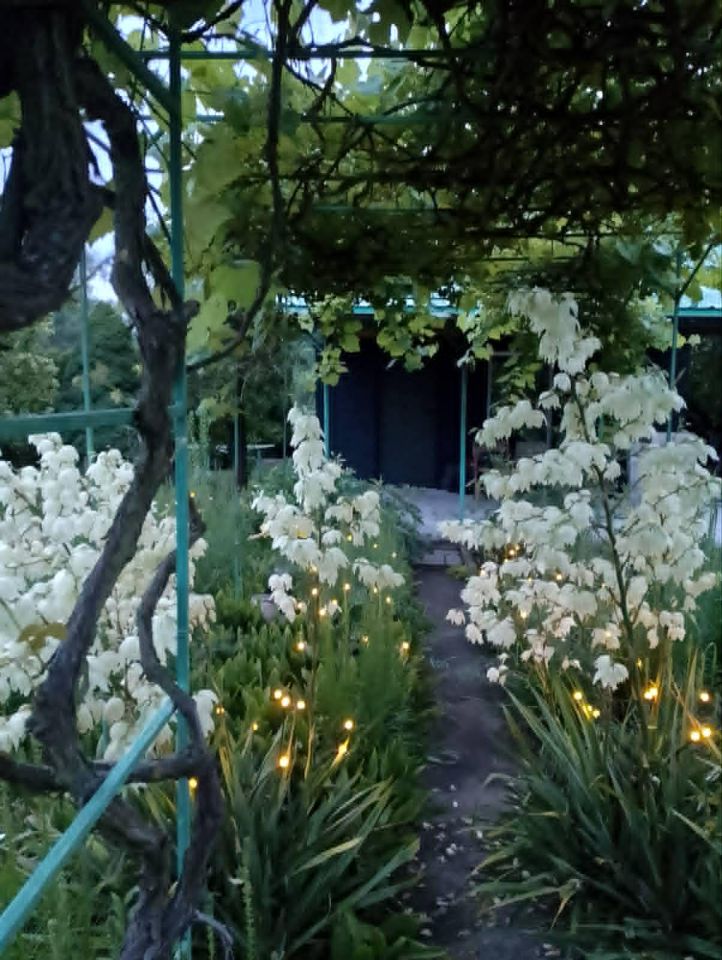 Działka rod Tarnobrzeg Nadole, ul. Wałowa. Zdjęcie 5