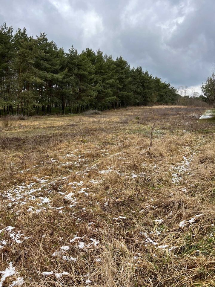 Działka rod Osłonin, ul. Krańcowa. Zdjęcie 4