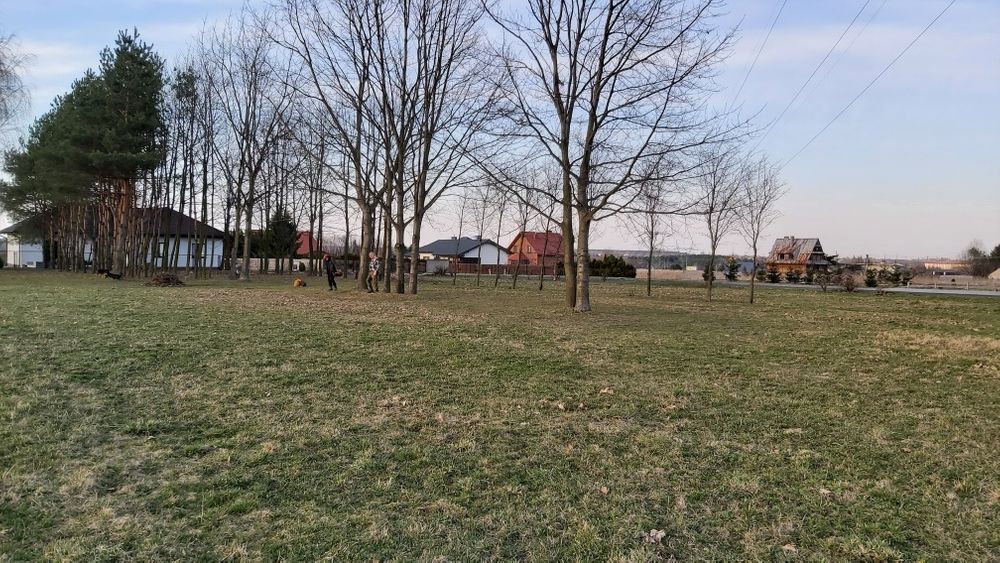 Działka Radom Kierzków. Zdjęcie 5