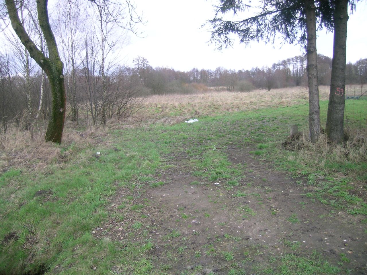 Działka inwestycyjna Strachocin. Zdjęcie 7